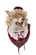 A TAXIDERMY FOX 'GRANDMOTHER DEAR, WHAT BIG TEETH YOU HAVE!'.