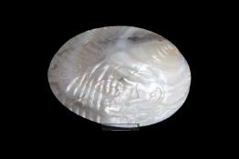 A MOTHER OF PEARL SHELL CARVED WITH A RAT