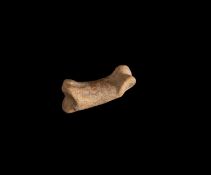 AN EXCEPTIONALLY RARE DODO BONE, MAURITIUS, BEFORE 1690