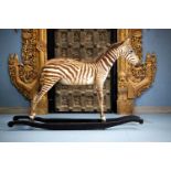 A TAXIDERMY BABY ZEBRA ROCKING HORSE