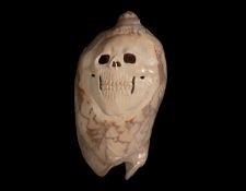 A CARVED VOLUTE SHELL WITH SKULL