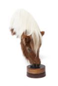 A TAXIDERMY: A SHETLAND PONY HEAD DRINKING