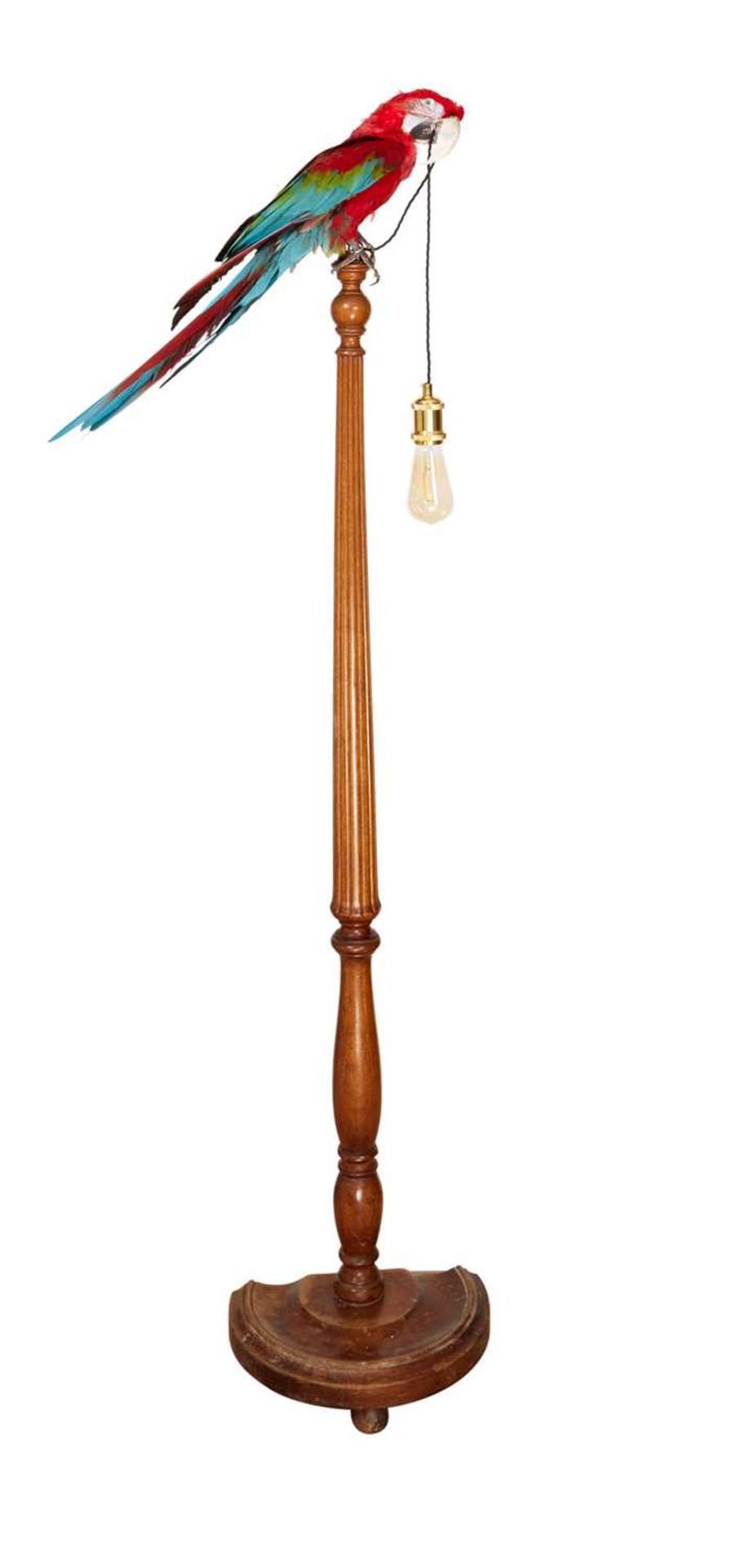 A TAXIDERMY MACAW PARROT MOUNTED ON A STANDARD LAMP