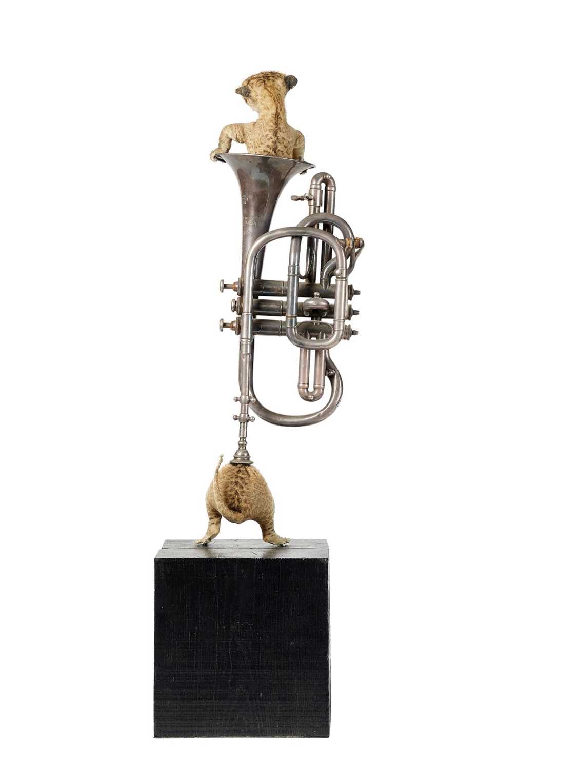 A TAXIDERMY LION CUB STUCK IN A TRUMPET BY ANDRE ROBOLOBAVICH - Image 2 of 2