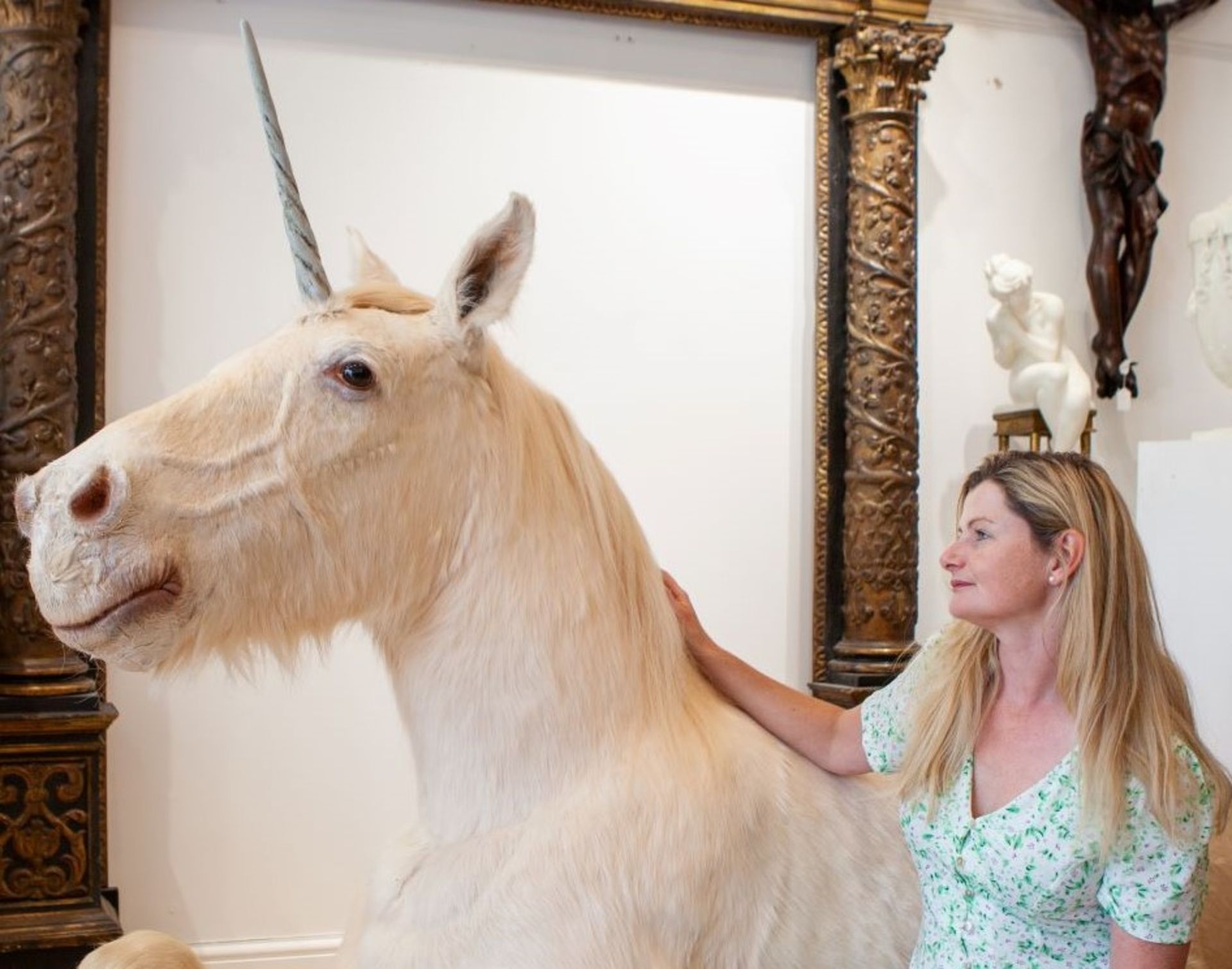 A TAXIDERMY FULL MOUNT 'UNICORN' (EQUUS CABALLUS) - Image 4 of 7