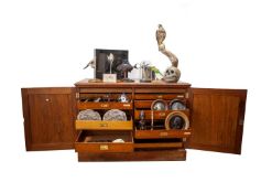 A 19TH CENTURY MAHOGANY COLLECTOR'S CABINET