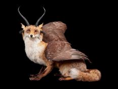 A TAXIDERMY MYTHICAL 'VULPESTINGER'