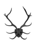 A SET OF BLACK PAINTED, RED DEER ANTLERS