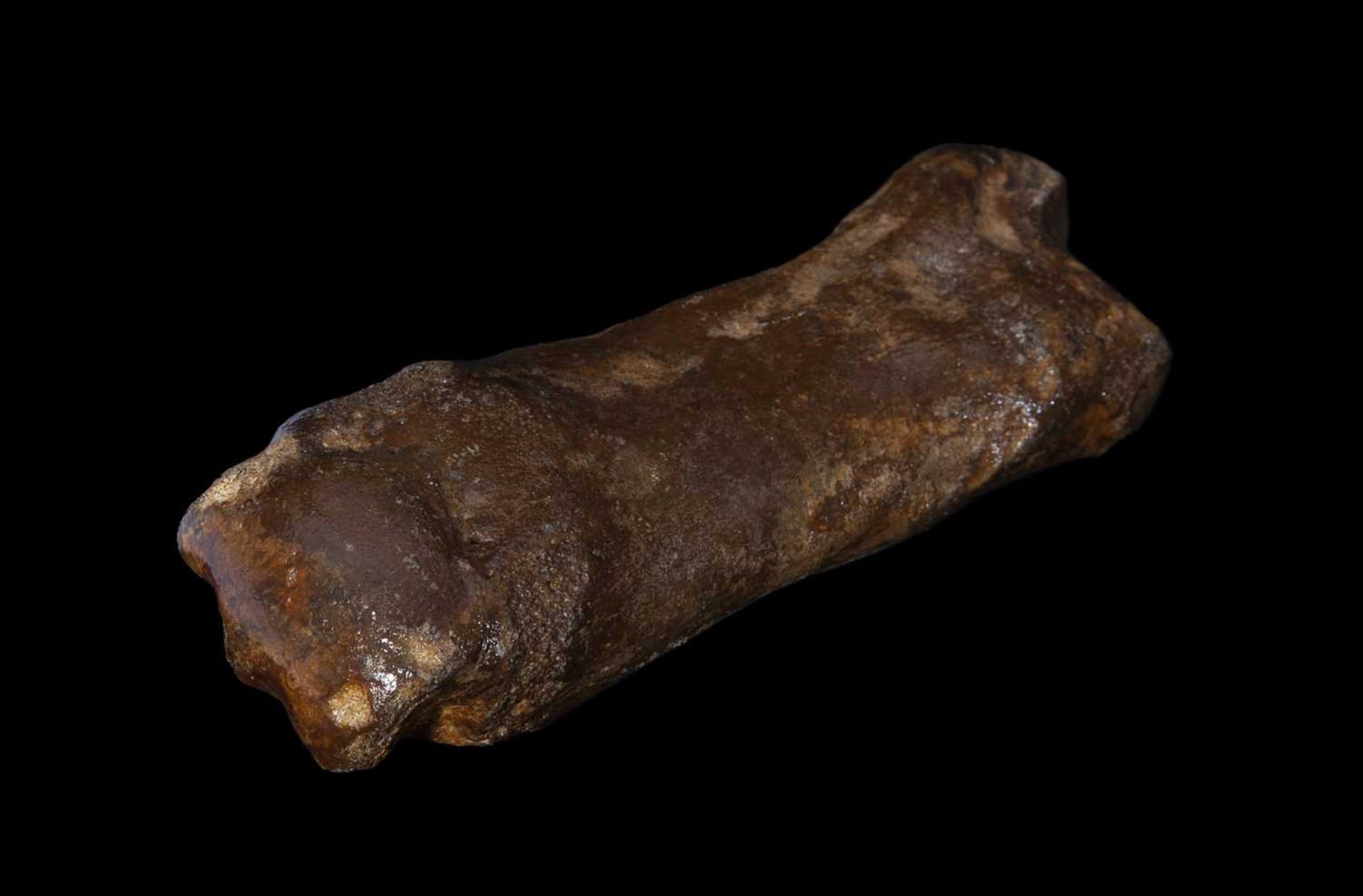 A FOSSILISED EXTINCT WOOLLY RHINOCEROS TOE BONE (COELODONTA ANTIQUITATIS) - Image 2 of 2