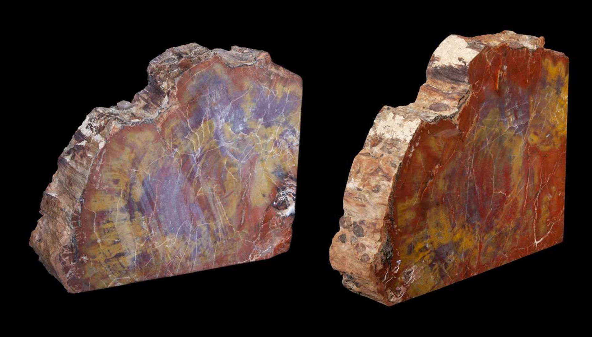 A PAIR OF FOSSILISED WOOD BOOK ENDS - Bild 2 aus 2