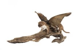 A TAXIDERMY MYTHICAL WINGED WEASEL