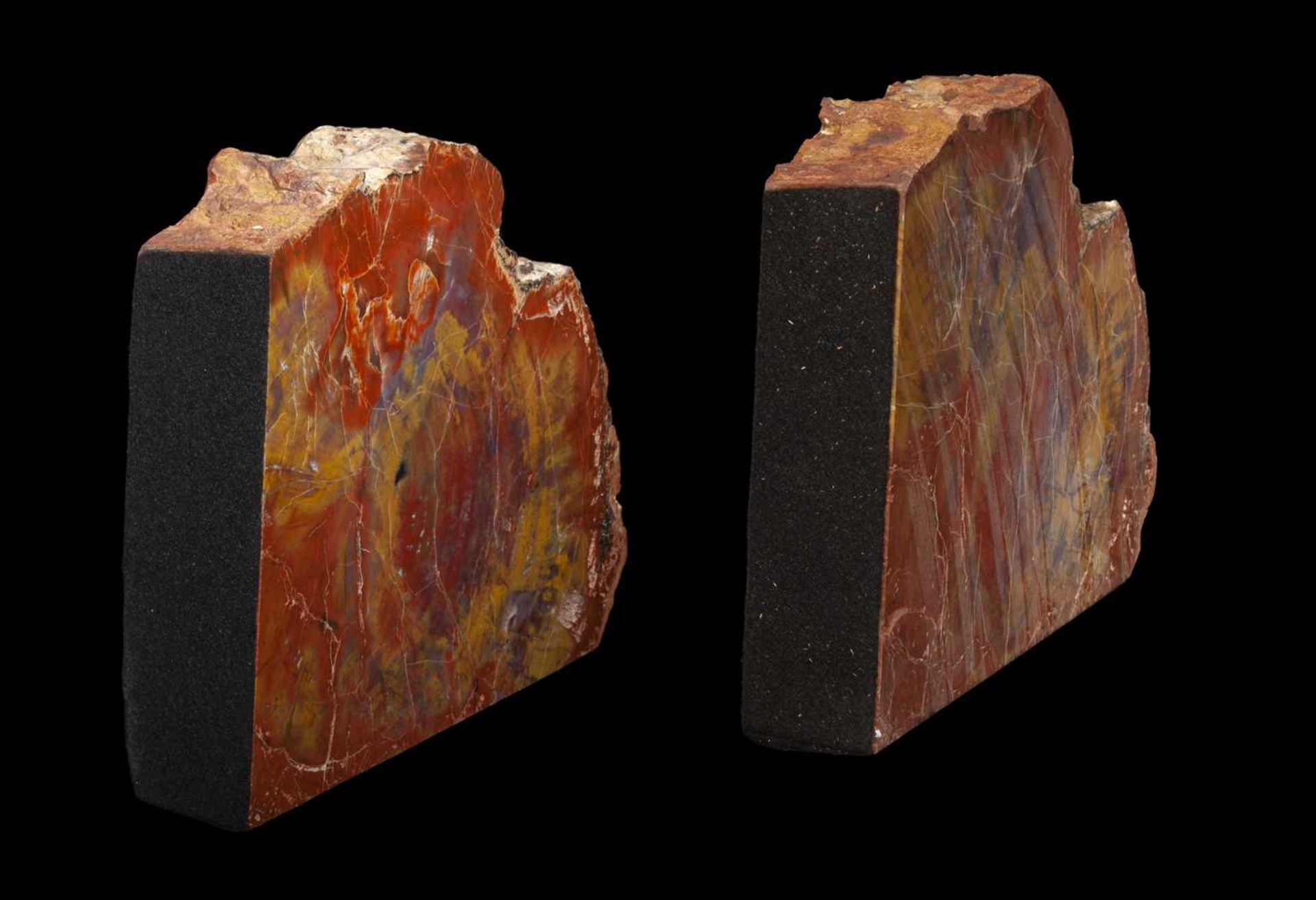 A PAIR OF FOSSILISED WOOD BOOK ENDS