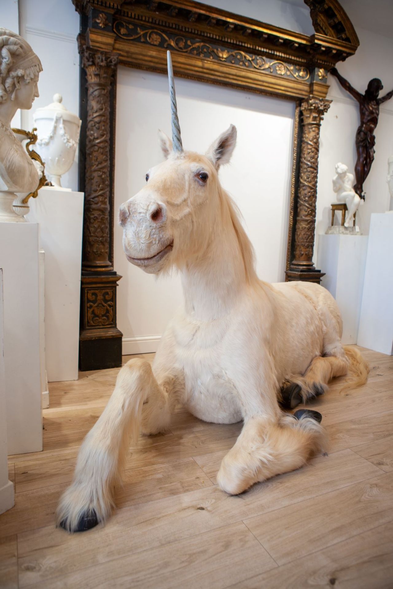 A TAXIDERMY FULL MOUNT 'UNICORN' (EQUUS CABALLUS) - Image 6 of 7