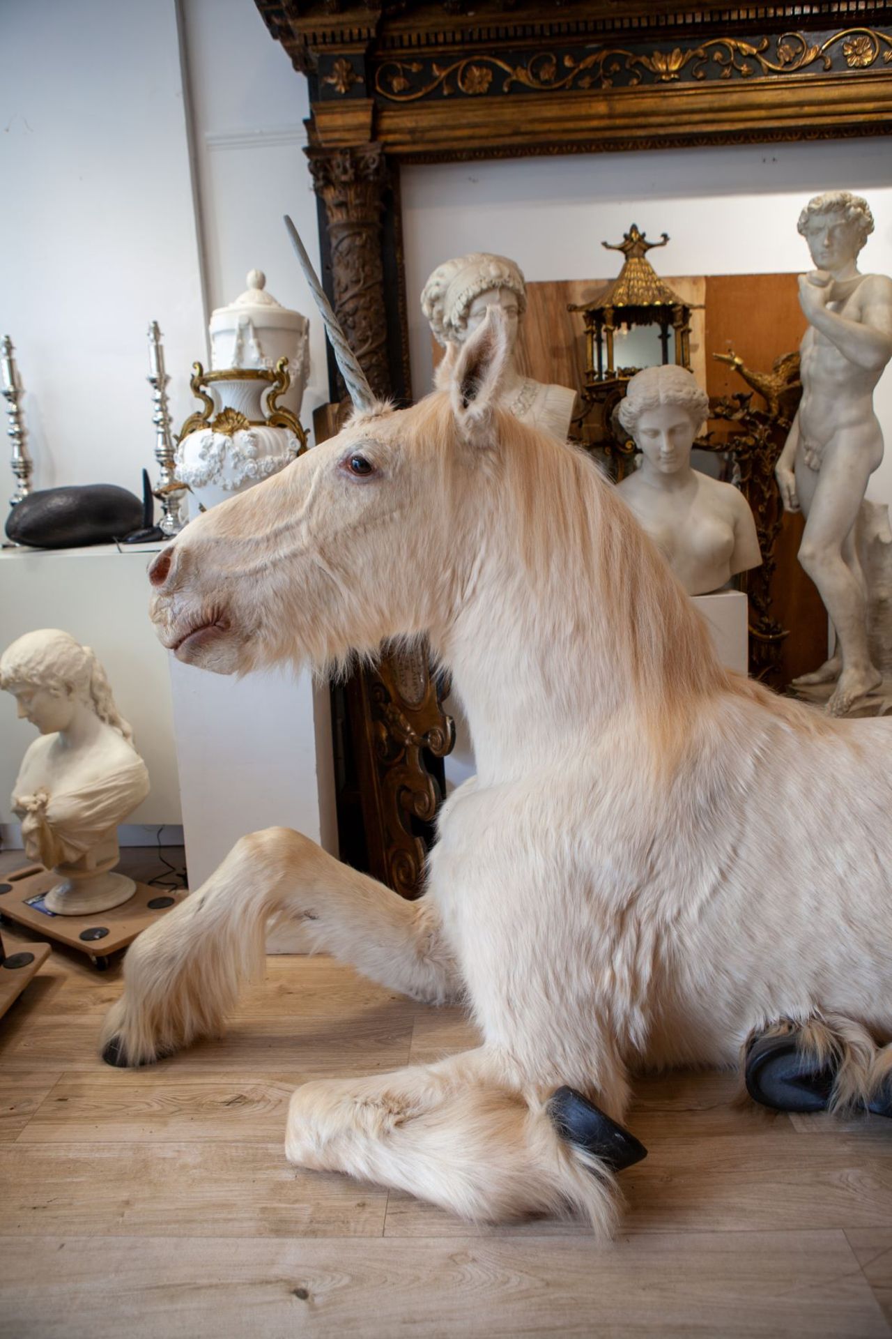 A TAXIDERMY FULL MOUNT 'UNICORN' (EQUUS CABALLUS) - Bild 7 aus 7