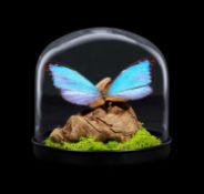 TAXIDERMY: GIANT BLUE MORPHO BUTTERFLY IN GLASS DOME