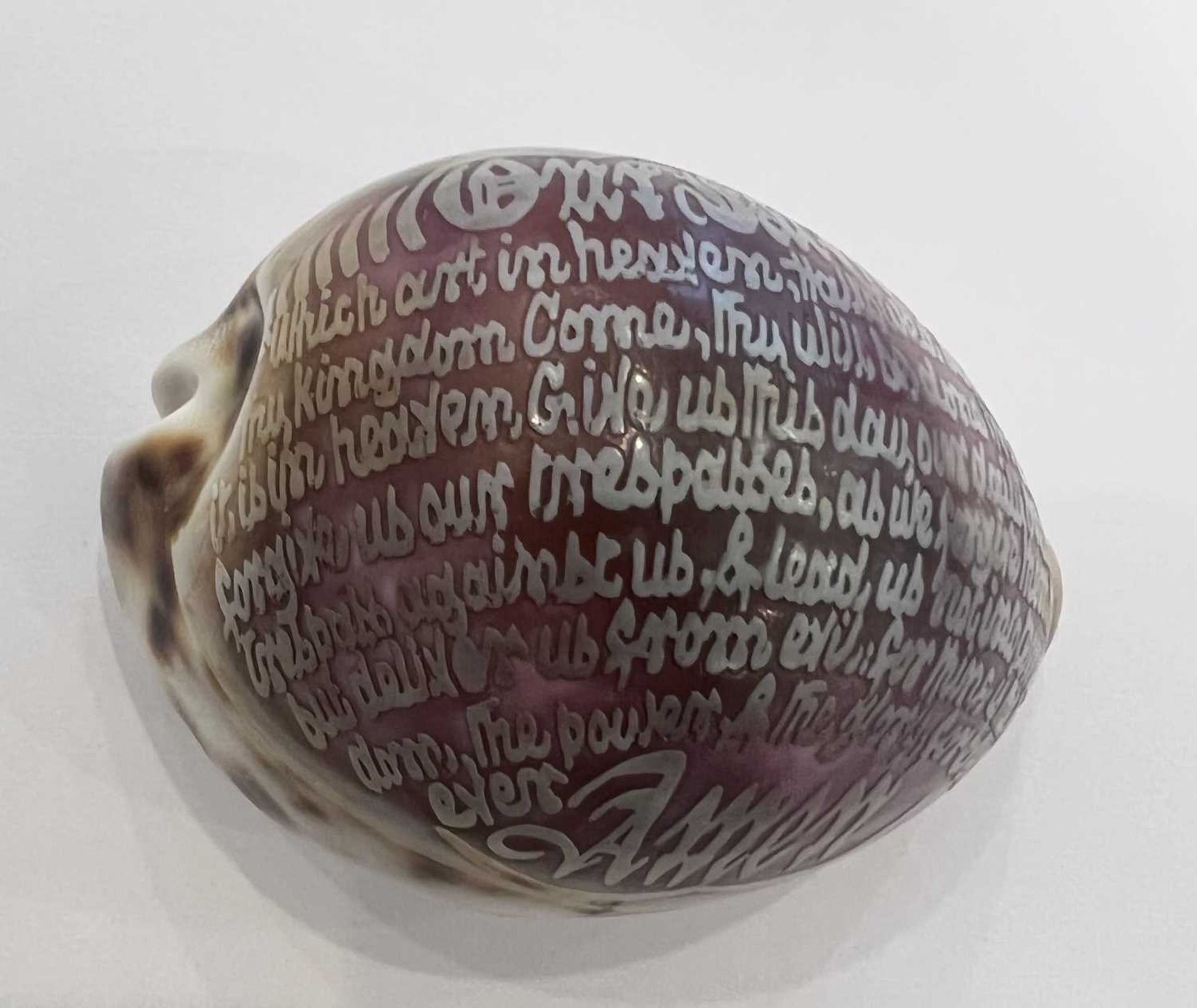 VICTORIAN CURIOSITY: A TIGER COWRIE SHELLCARVED WITH THE LORD’S PRAYER - Bild 3 aus 5