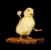 TAXIDERMY: A FREAK DUCKLING WITH FOUR LEGS WAVING