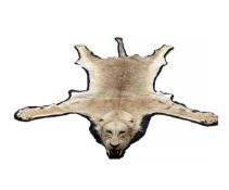 AN AFRICAN LION SKIN RUG WITH MOUNTED HEAD (PANTHERA LEO)