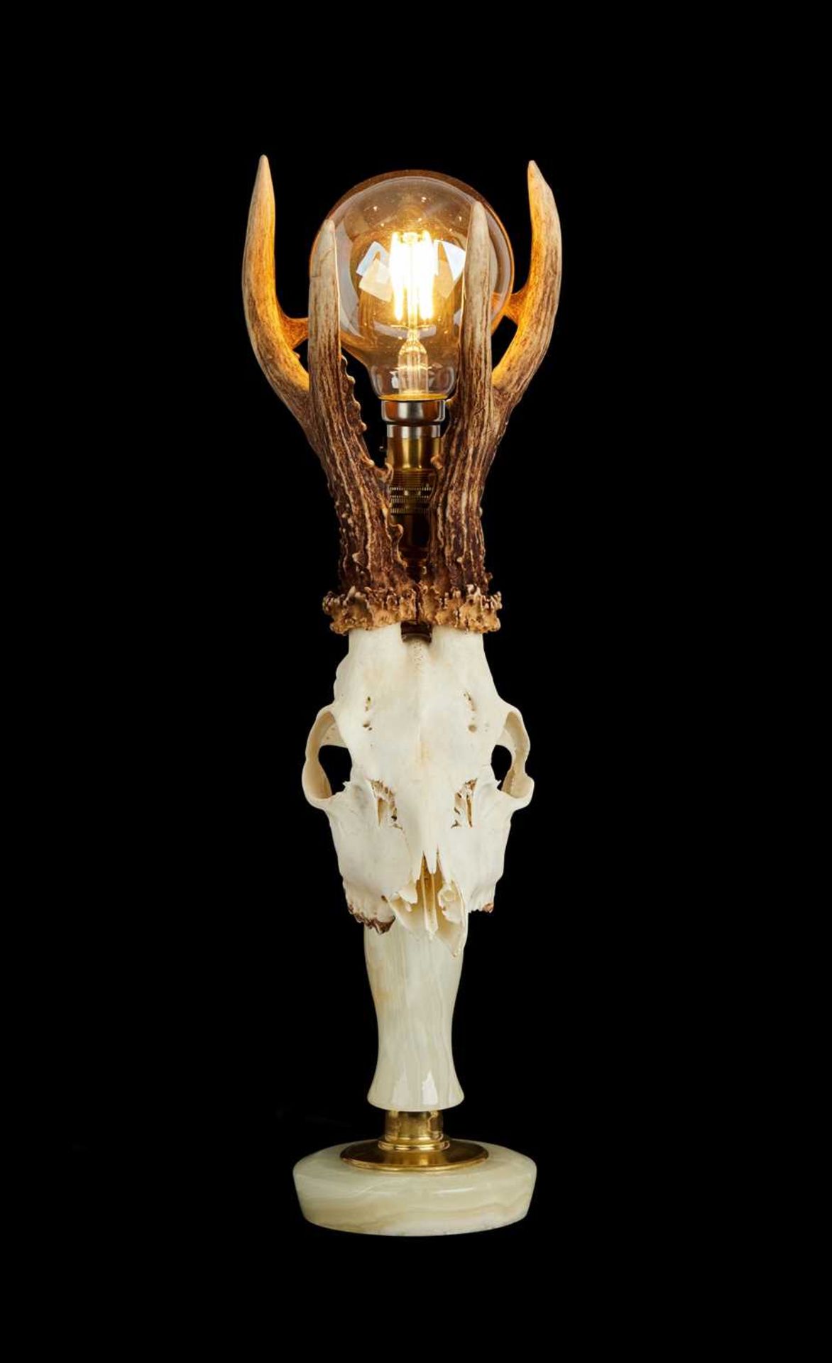 TAXIDERMY:A ROE DEER SKULL LAMP - Image 2 of 3