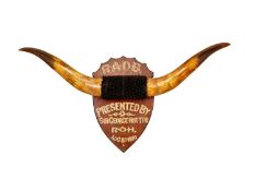 A SET OF BULL HORNS MOUNTED ON A SHIELD