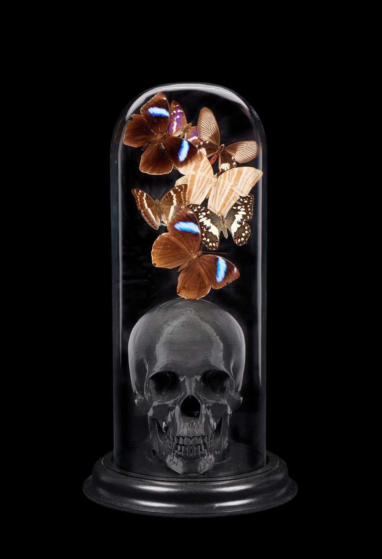 “KALEIDOSCOPE OF THE MIND I”: A MEMENTO MORI WITH REAL BUTTERFLIES