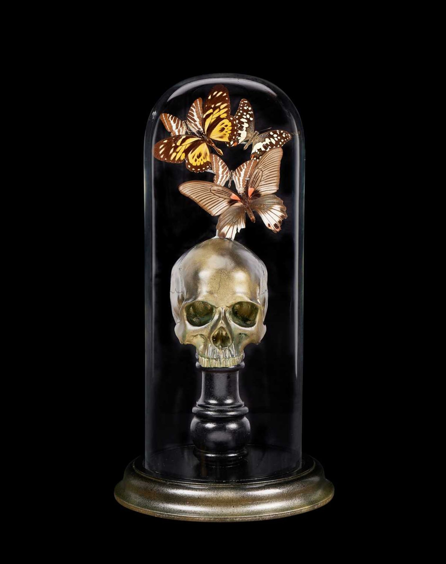 A MEMENTO MORI DISPLAY WITH REAL BUTTERFLIES “KALEIDOSCOPE OF THE MIND II”