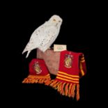 A TAXIDERMY SNOWY OWL ON HARRY POTTER STYLE DISPLAY 'HARRY'S HEDGWIG'