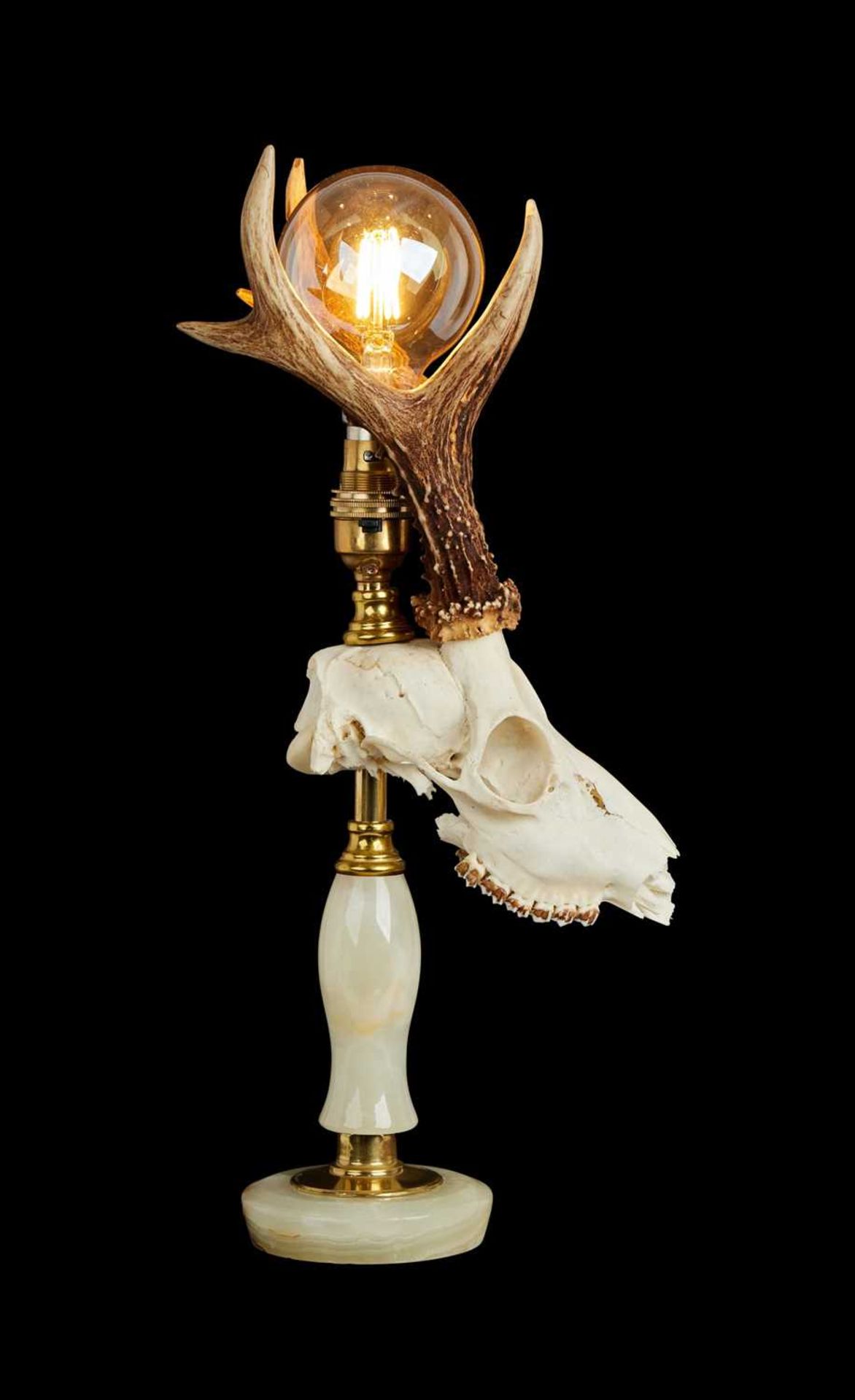 TAXIDERMY:A ROE DEER SKULL LAMP