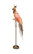 A TAXIDERMY MYTHICAL 'PHOENIX' BIRD