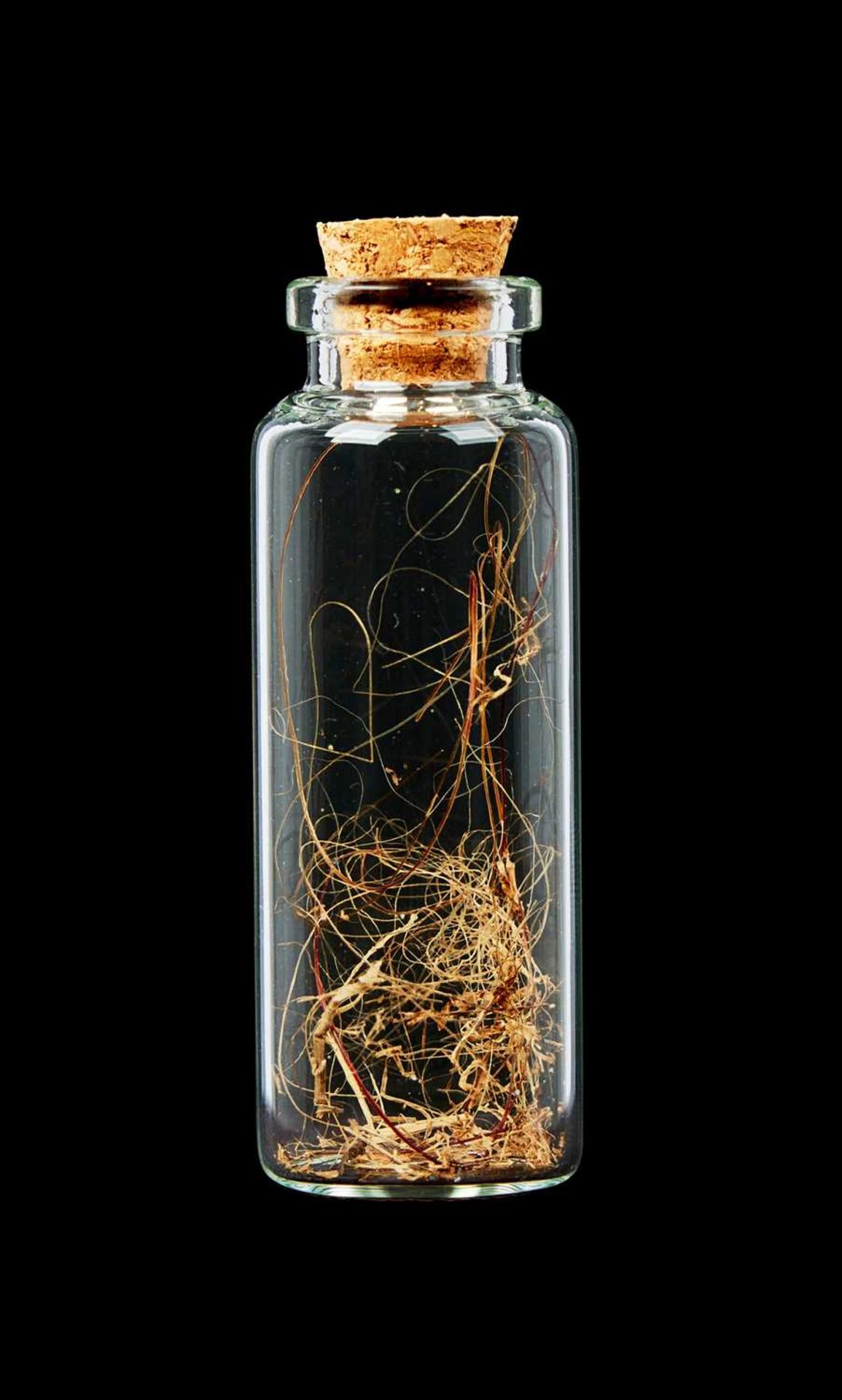 A JAR OF EXTINCT WOOLLY MAMMOTH (MAMMUTHUS PRIMIGENIUS) HAIR, PLEISTOCENE, 10,000 YEARS OLD