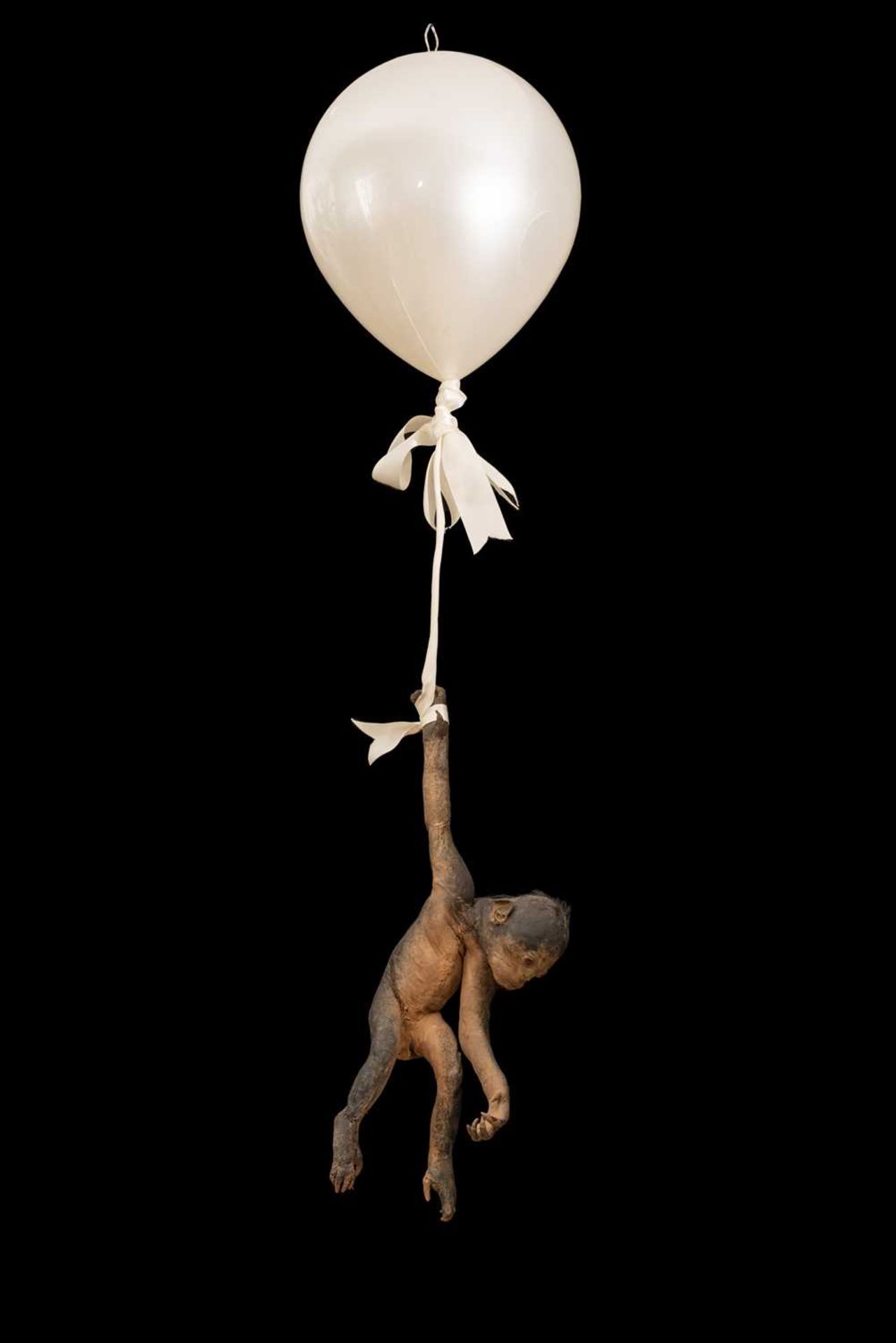 A TAXIDERMY FLOATING BABY CHIMPANZEE