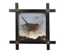 A TAXIDERMY ROBIN IN WINTER SCENE WALL HANGING GLASS CASE