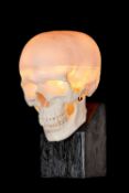 A COMPOSITION MEDICAL SKULL LAMP