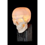 A COMPOSITION MEDICAL SKULL LAMP