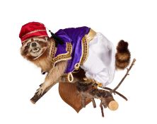 A TAXIDERMY RACCOON IN FANCY DRESS