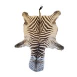 A ZEBRA SKIN RUG (EQUUS QUAGGA)