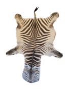 A ZEBRA SKIN RUG (EQUUS QUAGGA)