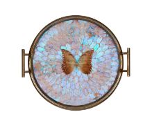 A MID CENTURY BUTTERFLY TRAY