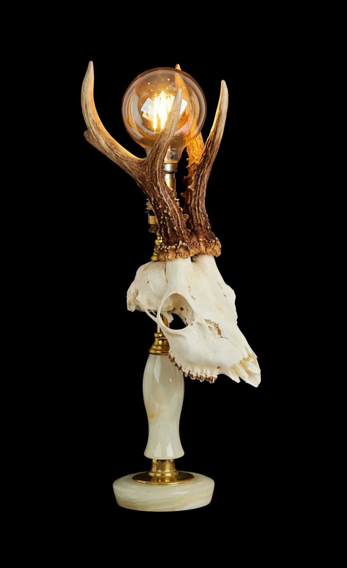 TAXIDERMY:A ROE DEER SKULL LAMP - Image 3 of 3