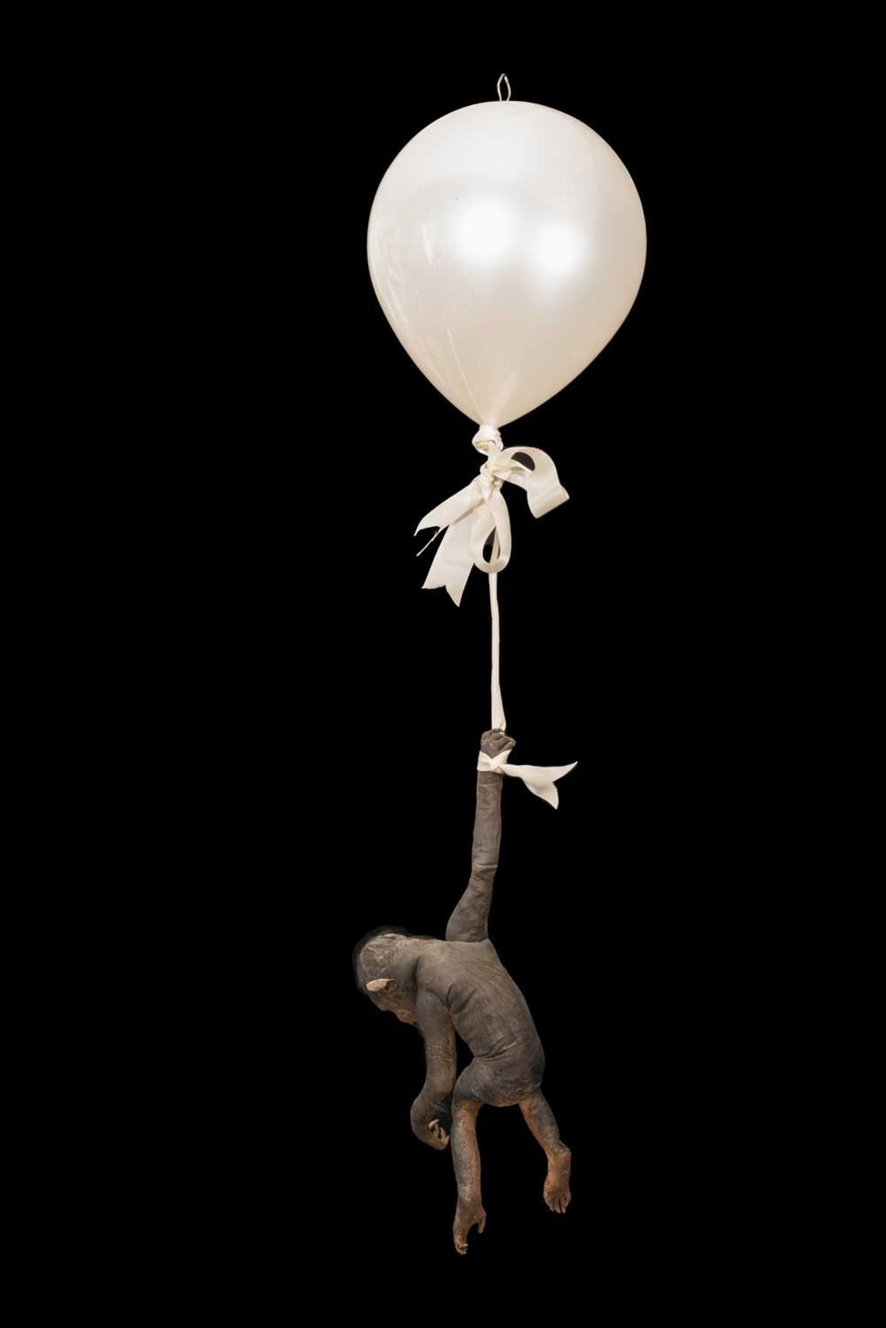 A TAXIDERMY FLOATING BABY CHIMPANZEE - Image 2 of 2