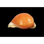 A GOLDEN COWRIE SHELL