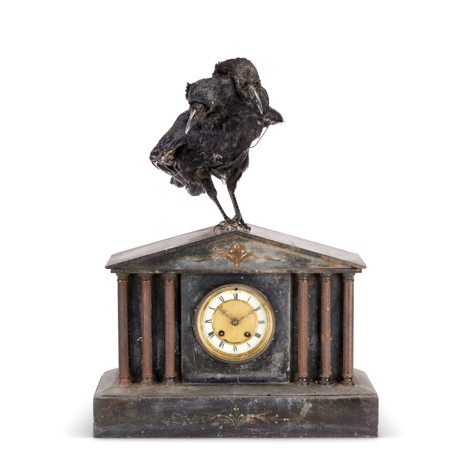 A TWO HEADED CROW RAISED ON A VICTORIAN BLACK SLATE MANTEL CLOCK