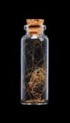 A JAR OF EXTINCT WOOLLY MAMMOTH (MAMMUTHUS PRIMIGENIUS) HAIR, PLEISTOCENE, 10,000 YEARS OLD