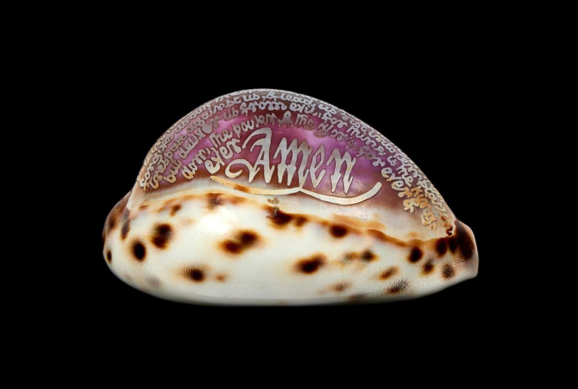 VICTORIAN CURIOSITY: A TIGER COWRIE SHELLCARVED WITH THE LORD’S PRAYER