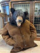 A TAXIDERMY BLACK BEAR IN SHEEPSKIN JACKET: “BEAR IN SHEEPS CLOTHING”