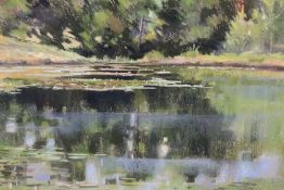 A FRAMED AND GLAZED PASTEL PICTURE OF A WOODLAND POND WITH LILLIPADS SIGNED PETER THOMAS LOWER