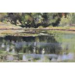 A FRAMED AND GLAZED PASTEL PICTURE OF A WOODLAND POND WITH LILLIPADS SIGNED PETER THOMAS LOWER