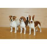 THREE BESWICK GLOSS FINISH DOG FIGURES TO INCLUDE A JACK RUSSELL TERRIER, CH WENDOVER BILLY BEAGLE