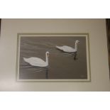 A WATERCOLOUR AND GOUCHE OF SWANS SIGNED TO LOWER RIGHT C. HOPE, 52 X 44 CM INCLUDING FRAME
