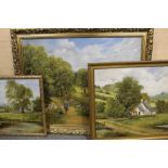 A COLLECTION OF OIL PAINTINGS ON BOARDS OF COUNTRY LANDSCAPES AND WOODLAND SCENES MOST SIGNED D M